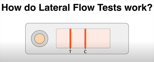 how do lateral flow tests work